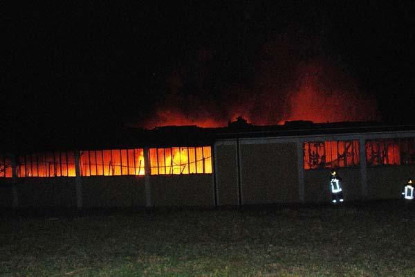 Ameno: è di natura dolosa l’incendio divampato lunedì sera
