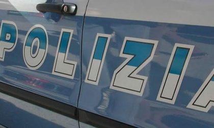 In via Boroli comparsi alcuni cinghiali. Sul posto la Polizia locale