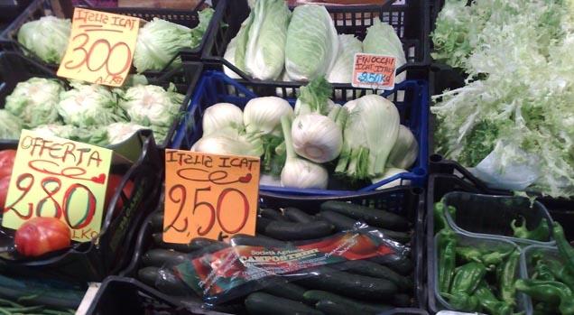 Quali sono i benefici dell’alimentazione vegetale?