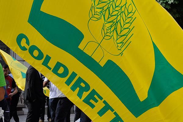 Fiera di S. Gallo in Svizzera: grande promozione per i  nostri prodotti