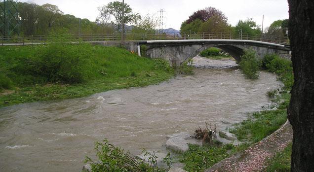 L’Aib Briga Novarese ripulisce gli argini del torrente Agogna