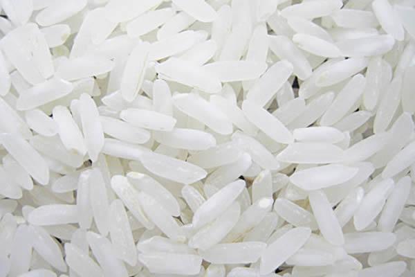 Nasce Rice Express Novara – Vercelli