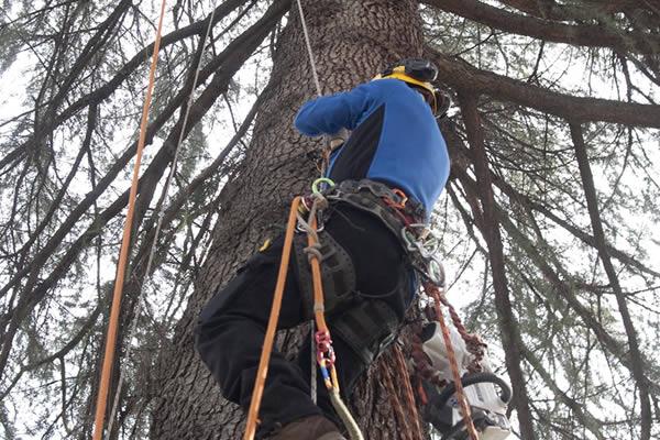 Al via il progetto “Occhio al parco: la didattica sull’albero” (FOTOGALLERY)