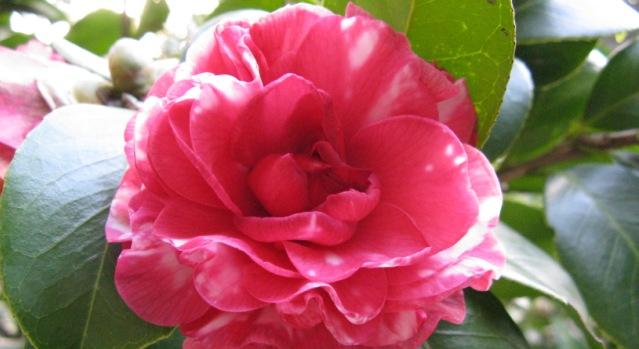 “Made in Piemonte”, Novara e Vco ci sono