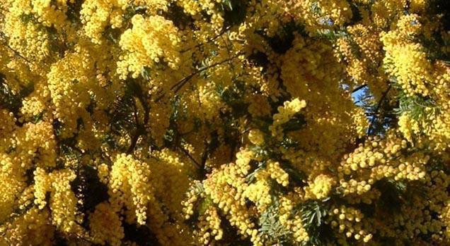 Marzo in Rosa e… Azzurro: ecco gli appuntamenti della settimana