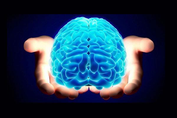 Prende il  via la “Settimana del cervello”