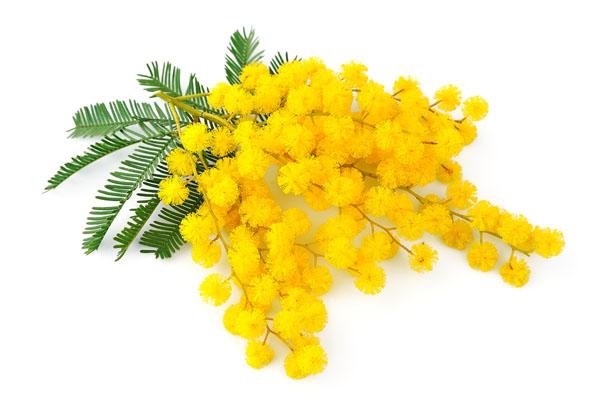 Prosegue la rassegna “Voci di donna”