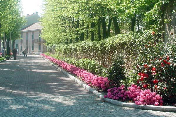 Belli i fiori sulle aiuole? Sì, da rubare…