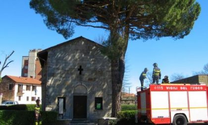 Forte vento a Borgomanero, rami cadono in strada