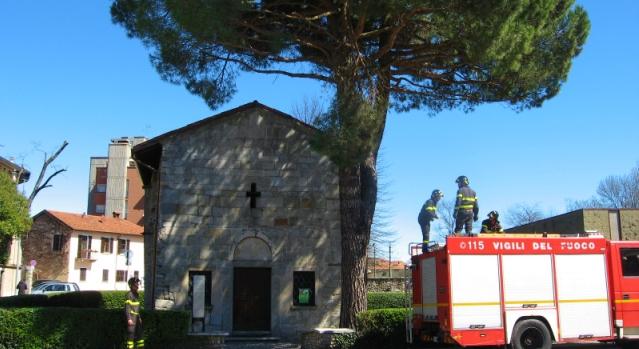 Forte vento a Borgomanero, rami cadono in strada