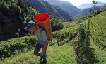 Giovani alla scoperta dell'agricoltura di montagna