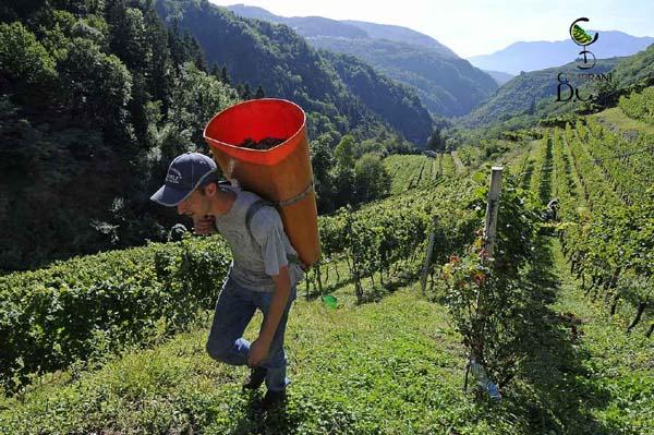 Giovani alla scoperta dell’agricoltura di montagna