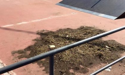 Skate park nel mirino dei vandali a Romagnano