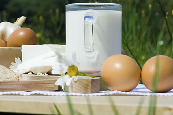 Vademecum sulla corretta alimentazione: la presentazione il 9 aprile ’15