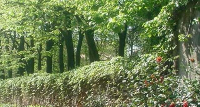 A Grignasco natura a portata di bimbo