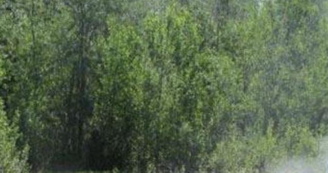 Giornata Europea dei Parchi, così si festeggia a Grignasco