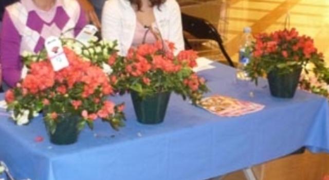 L’Azalea-simbolo contro i tumori torna in piazza domenica