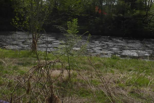 Melme acide, pronti a ricominciare