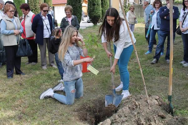 Un albero per ogni caduto in guerra