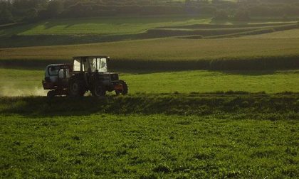 In Piemonte brusco calo per gli occupati in agricoltura