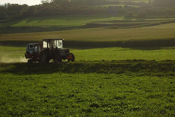In Piemonte brusco calo per gli occupati in agricoltura