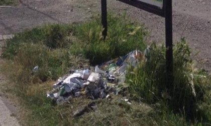 Manutenzione del verde, «situazioni al limite della tollerabilità»