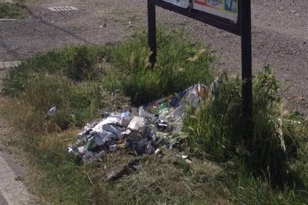 Manutenzione del verde, «situazioni al limite della tollerabilità»