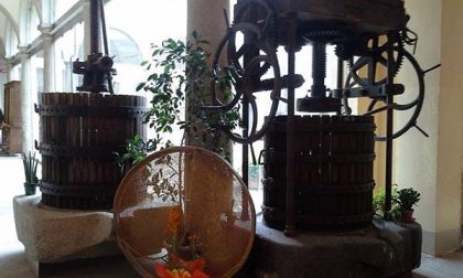 Museo civico di Oleggio: legame col territorio e volontariato