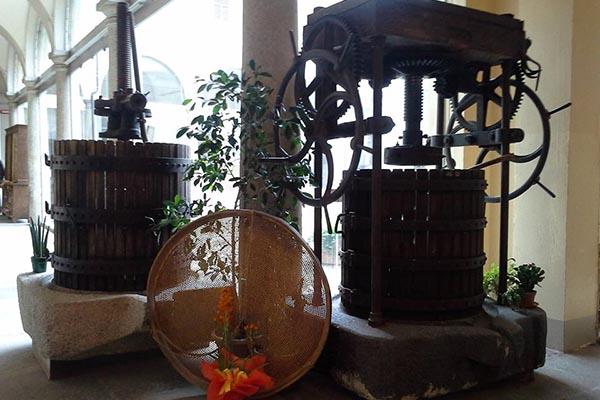 Museo civico di Oleggio: legame col territorio e volontariato