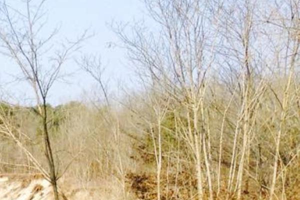 Approvata la Riforma dei Parchi della Regione Piemonte