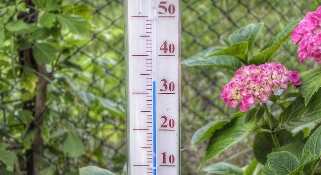 Prima decade di luglio con una media giornaliera di 28°
