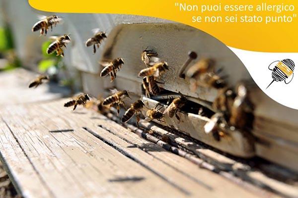 “Punto nel vivo”, campagna di informazione sull’allergia alle punture di api