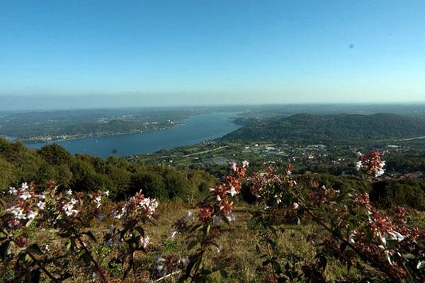 A Meina con il centro “La compagnia” distribuite un centinaio di borse alimentari