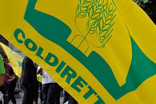 Coldiretti Novara-Vco sul Pnrr: “Serve 1 miliardo per acqua invasi ed energia”