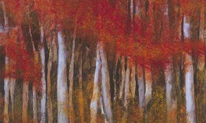 Arte a Omegna. Gli appuntamenti