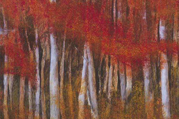 Arte a Omegna. Gli appuntamenti