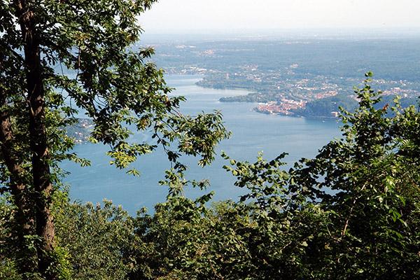 L’appello delle associazioni ambientaliste: “Biodiversità Piemonte indietro tutta!”