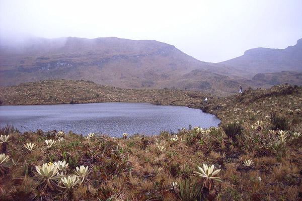 Da S. Martino alla Colombia