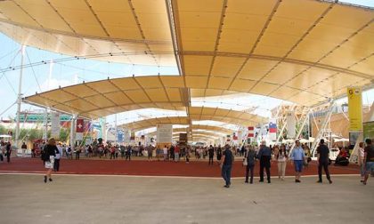 Imprese agricole novaresi e del Vco protagoniste a Expo