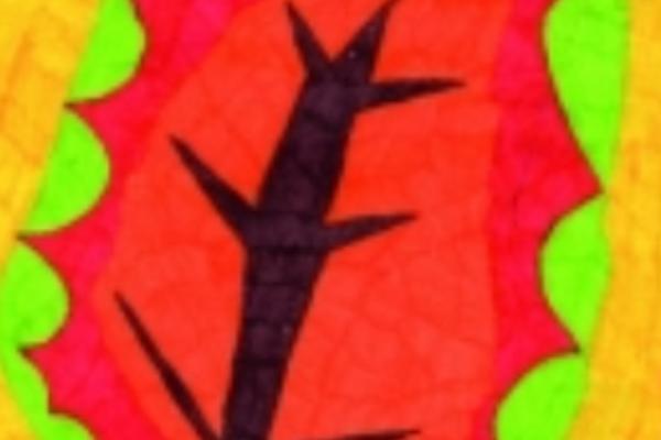 In mostra i risultati del progetto DIVA