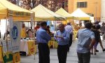 Inaugurato il mercato di Campagna Amica a Verbania