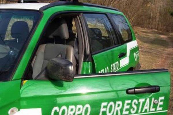 Sequestrate due cave a Romentino