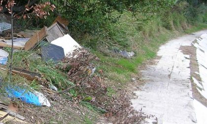 Anche le fototrappole mimetizzate nella vegetazione contro gli incivili