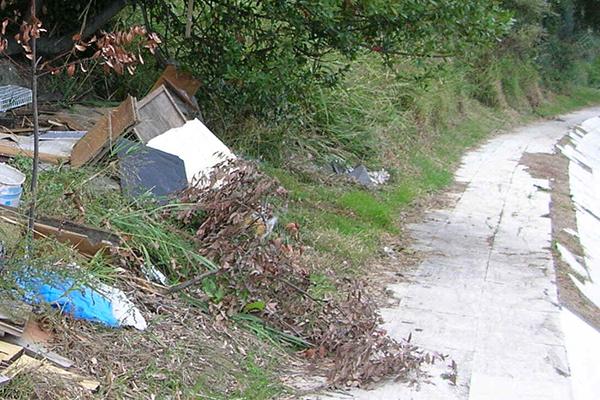 Anche le fototrappole mimetizzate nella vegetazione contro gli incivili