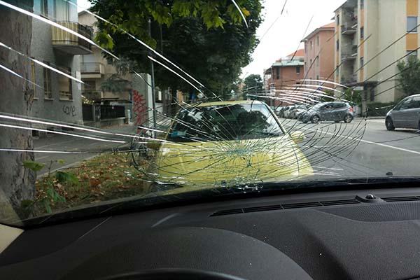 Auto danneggiata da un albero in viale Giulio Cesare