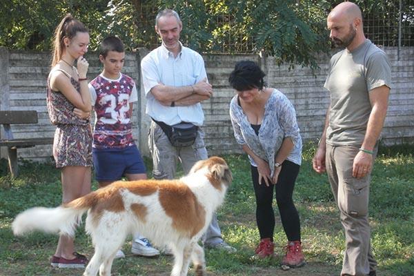 «Dati nella norma, ma meno adozioni»