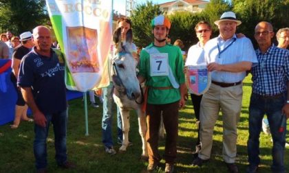 Giallo al Palio degli Asini di Borgomanero