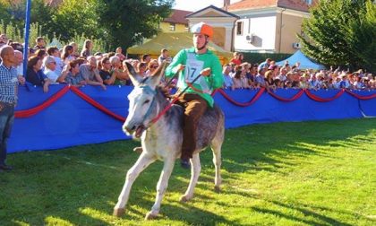 Giallo al Palio degli Asini di Borgomanero