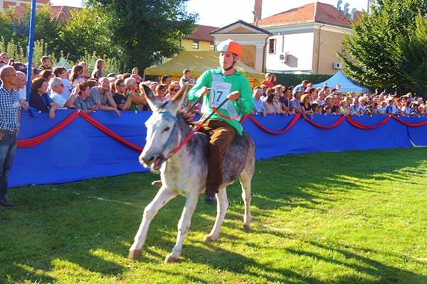 Giallo al Palio degli Asini di Borgomanero