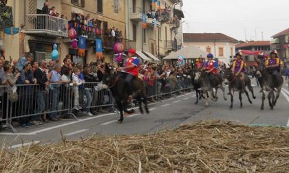 Cameri: niente palio degli asini quest'anno